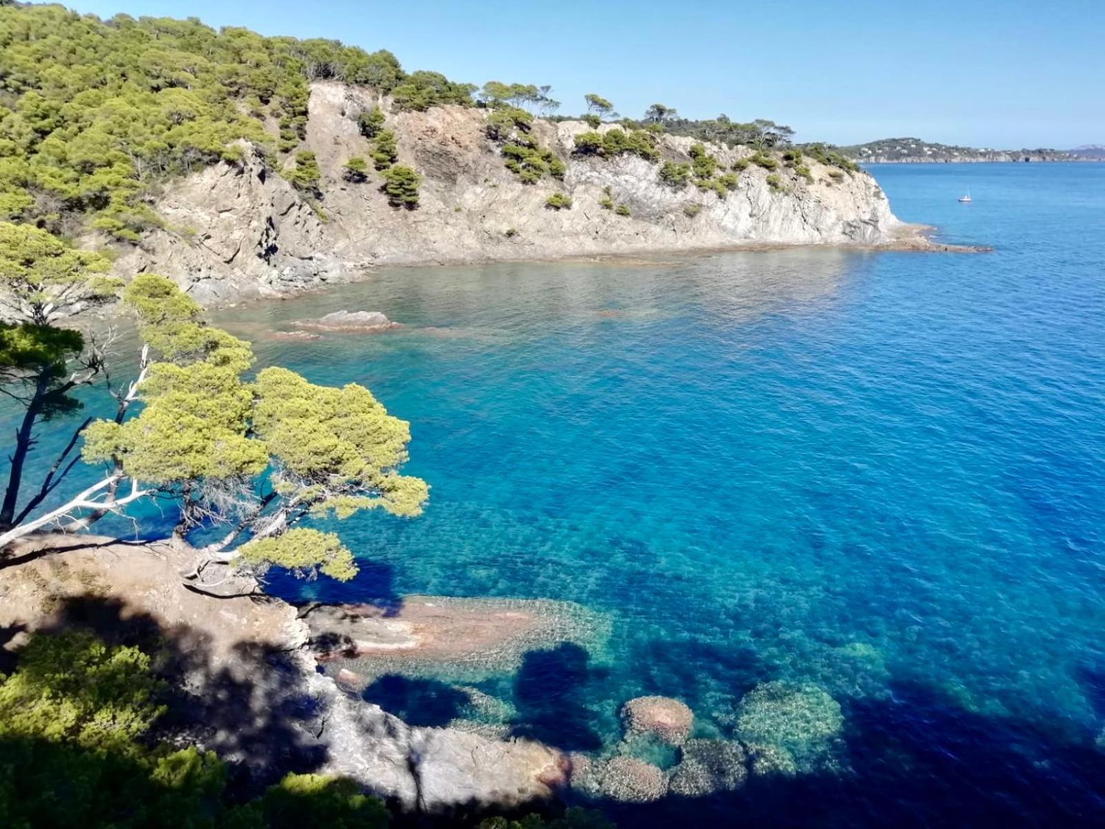 Vue Refait à Neuf&climatisé Le Pradet